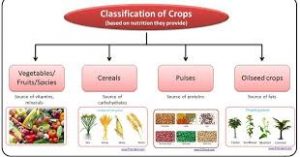 The Complete Classification of Crops