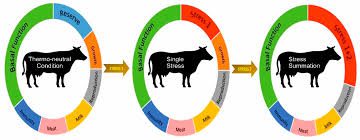 The Concept of Animal Energy Balance in the Physical Environment