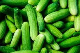 10 Amazing Health Benefits of Cucumber Fruit