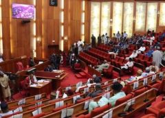 Senate Honours Slain #EndSARS Protesters