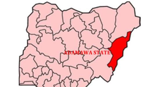 Police recover seven vehicles from two suspected kidnappers in Adamawa
