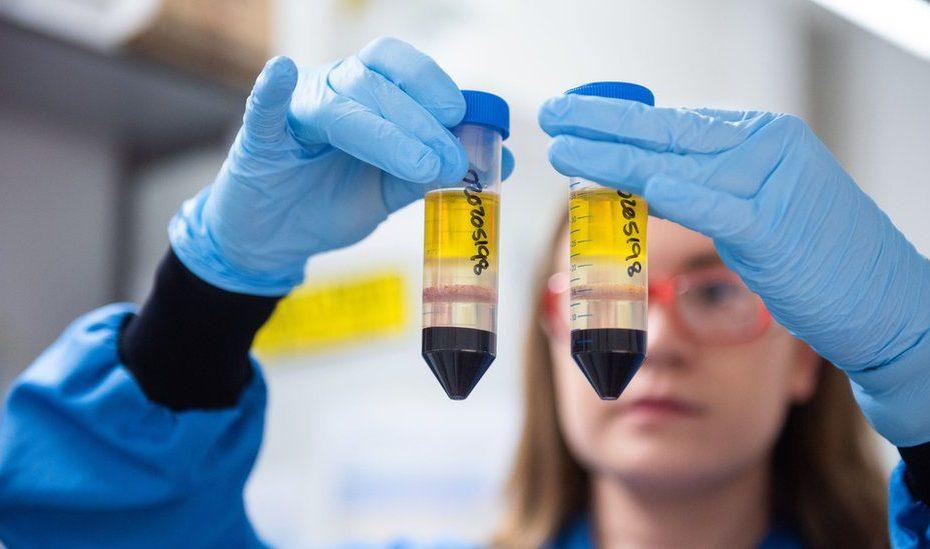 Oxford Covid Vaccine: Regulator Asked To Assess Jab