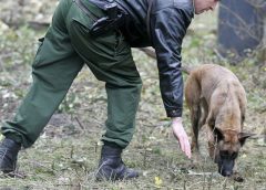 Berlin police hold 'cannibal' after bones found in park