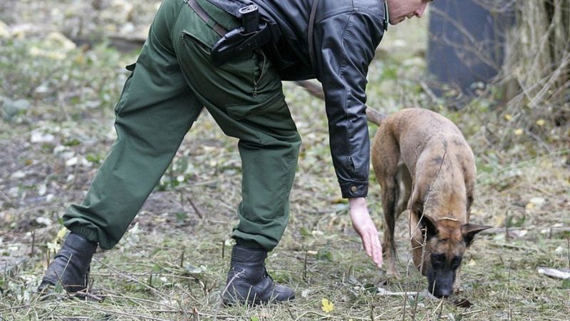 Berlin police hold 'cannibal' after bones found in park