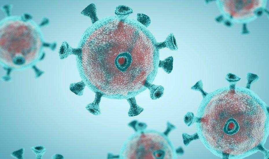 T-Cell Response 'Lasts Six Months after Covid Infection'