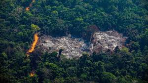 Deforestation in Brazil’s Amazon Surges to 12-Year High
