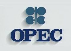 OPEC is one of the most important energy organizations in the world. 