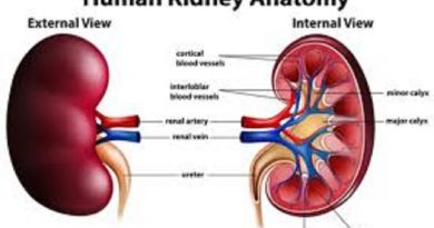 Stop or Reduce The Intake of These 2 Things If You Don't Want To Have Kidney Disease