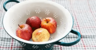 An Apple a Day Keeps the Doctor Away (See Reasons)