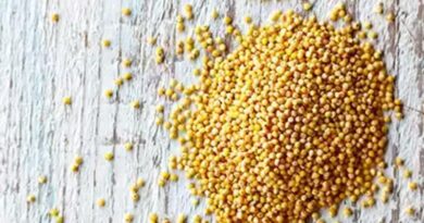 Amazing Health Benefits of Millet you need to know about