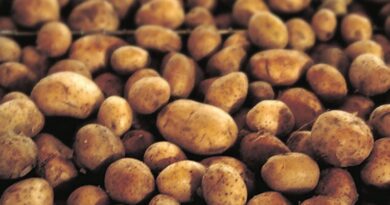 10 Unknown Health Benefits of Potatoes