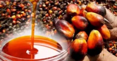 12 Amazing Health Benefits of Palm Oil