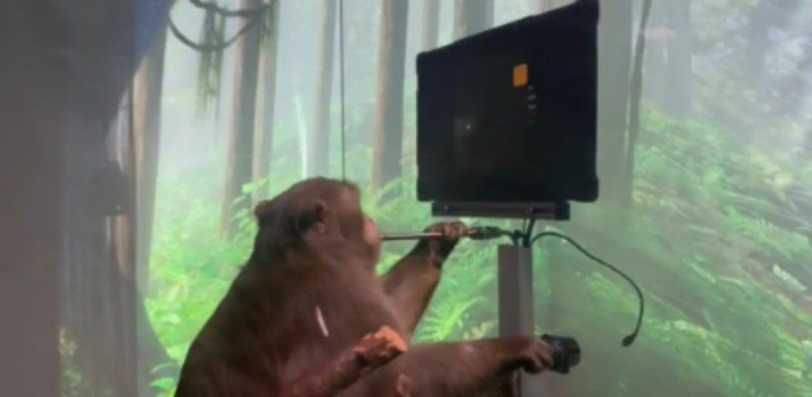 Imagine What Humans Could do with the Technology that Allowed a Monkey to Play a Game with its Mind