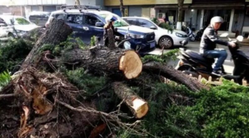 11 dead 102 injured as extreme winds hit eastern China