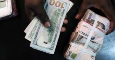 CBN extends incentive period to boost dollar remittances