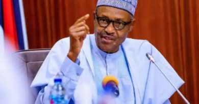 (video)Nigeria: If you want jobs, behave yourselves - President Muhammadu Buhari