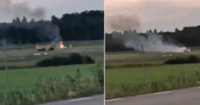 Nine die as airplane crashes after takeoff in Sweden