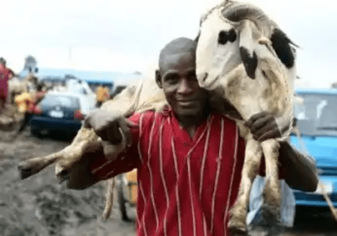 Eid-El Kabir: Things to take note of this festive season