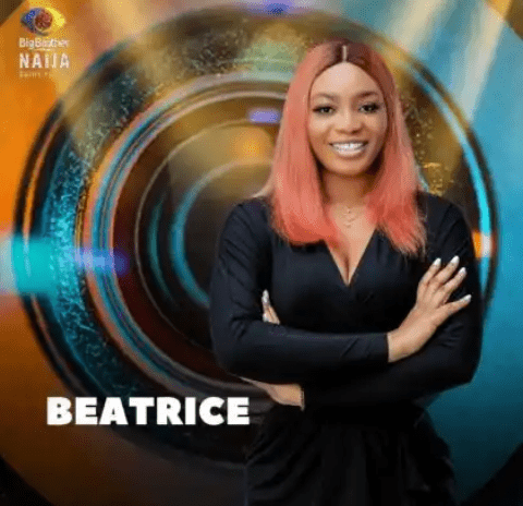 Bbnaija: Meet the BBNaija 2021 female housemates