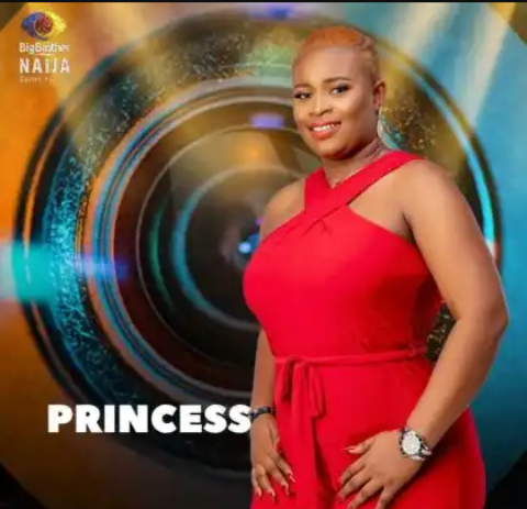 Bbnaija: Meet the BBNaija 2021 female housemates