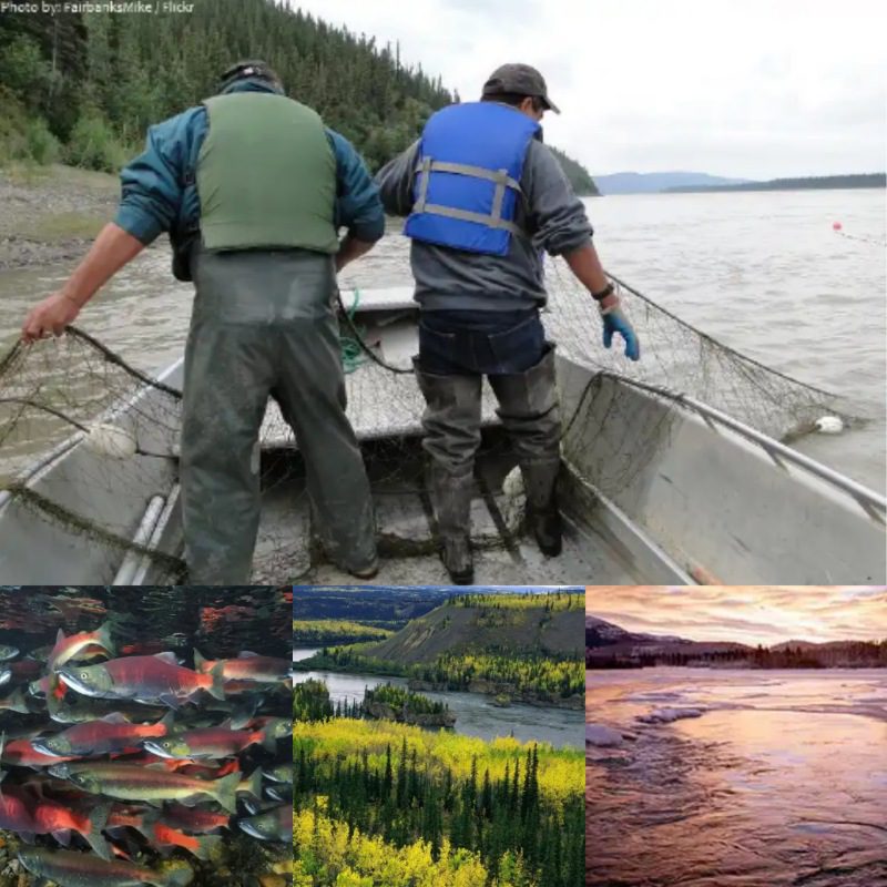 Yukon River - Interesting Facts You Should Know