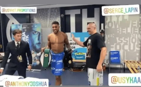 Photos: Oleksandr Usyk returns belts to Anthony Joshua