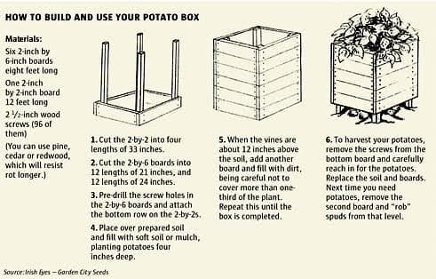 Potato Farming Guide - 7 Tips to Grow Sacks Full of Potatoes