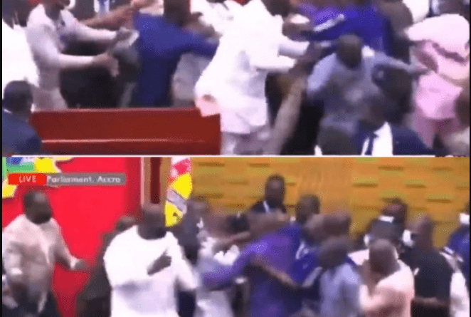 Ghana: Members of Parliament fight dirty during voting on the controversial E-levy bill (video)