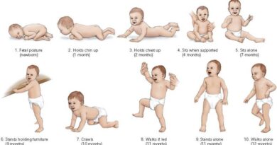 Different Stages of Baby Development