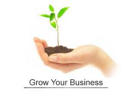 Ways to Support Small Businesses to Ensure Growth
