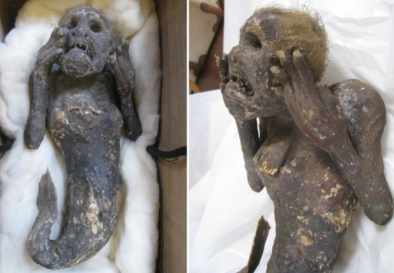 Photos: Scientists baffled by mummified 'mermaid' with 'human face' and tail