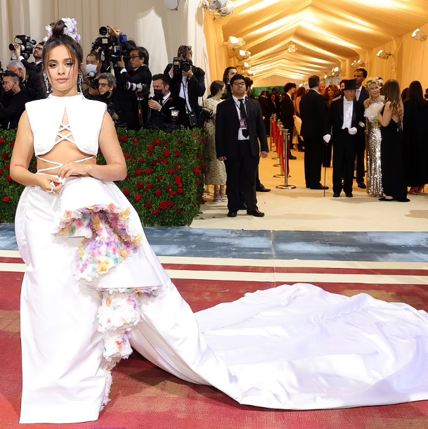 Met Gala 2022: Photos from Red carpet