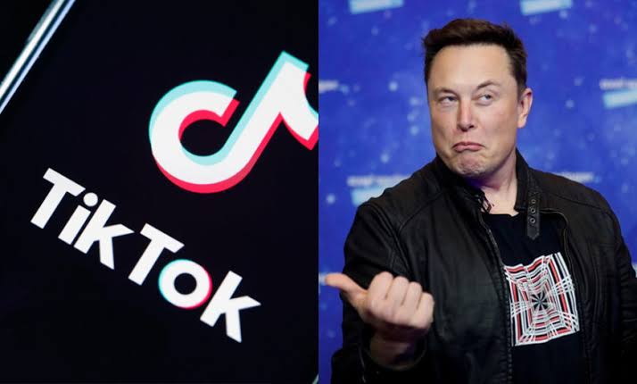 Elon Musk thinks TikTok is destroying civilization