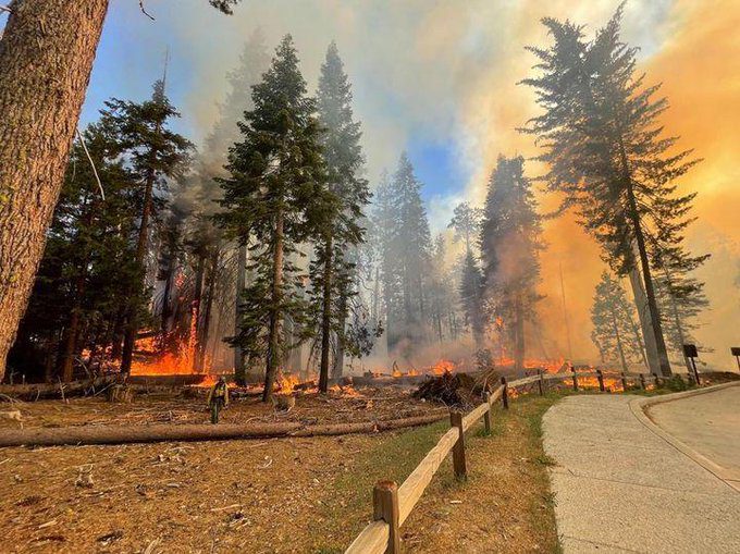 Yosemite National Park - California: Wild fire swells to over 2,000 acres, threatens large sequoia trees - situation report and latest update