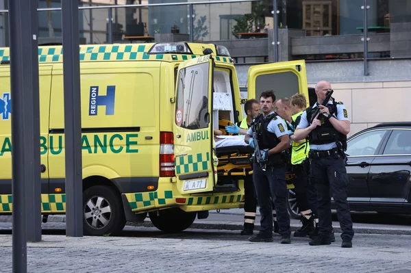 Bloody Sunday! - as gunman killed 3 people and others injured at a Copenhagen mall