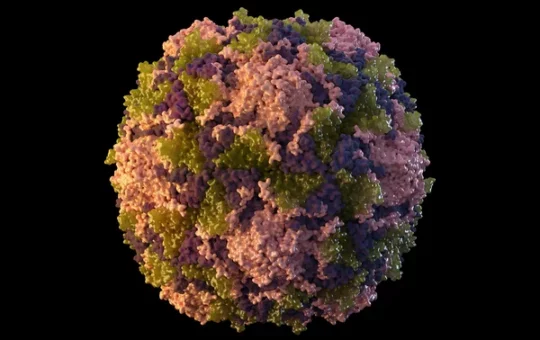 US: First case of 'Polio virus' confirmed in New York