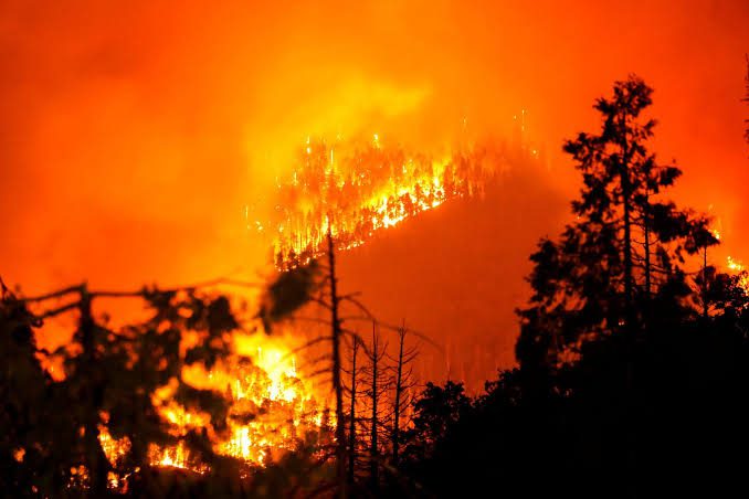 Yosemite National Park - California: Wild fire swells to over 2,000 acres, threatens large sequoia trees - situation report and latest update