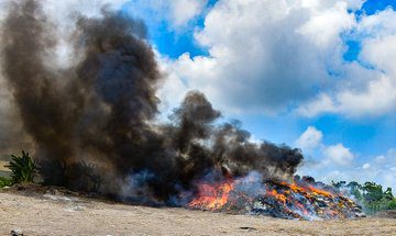 NDLEA destroys 560 kgs of illicit drugs in Lagos