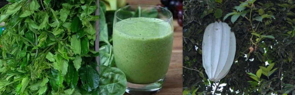 Ugu Leaves (Fluted Pumpkins): Facts, Health Benefits and Uses Ugu Leaves (Fluted Pumpkins): Facts, Health Benefits and Uses