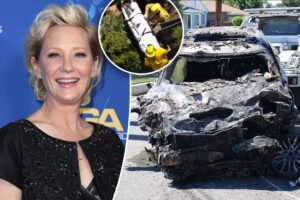UPDATE: Anne Heche who was involved in a ghastly car accident, now in serious 'COMA'