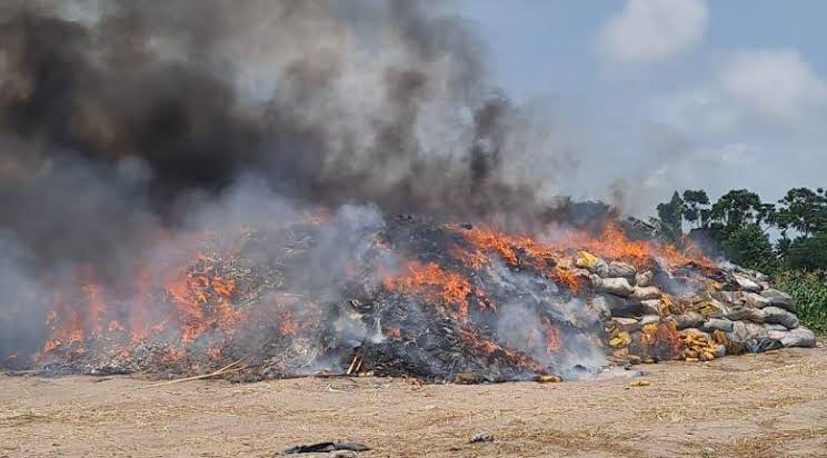 Just-in: NDLEA destroys 560 kg's of cocaines and other illicit drugs in Lagos, Nigeria - photos