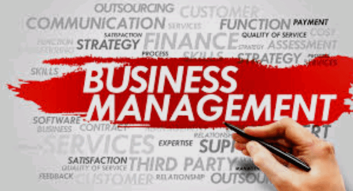 What is Business and Management