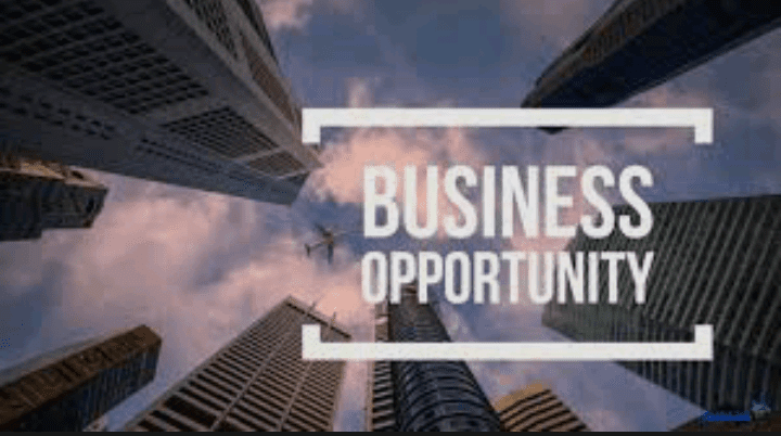 Business Opportunity Search and Identification