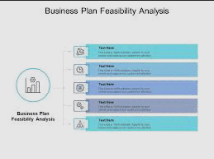 Business Feasibility Analysis and Reasons for Feasibility Analysis