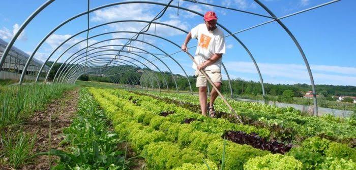 Advantages of Bio Farming to Modern Agriculture