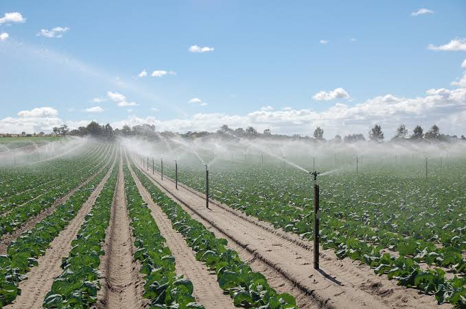The Role of Irrigation in Addressing Water Scarcity For Agriculture