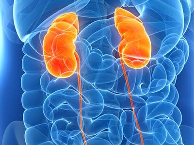 Causes of Kidney Disease and Care Methods