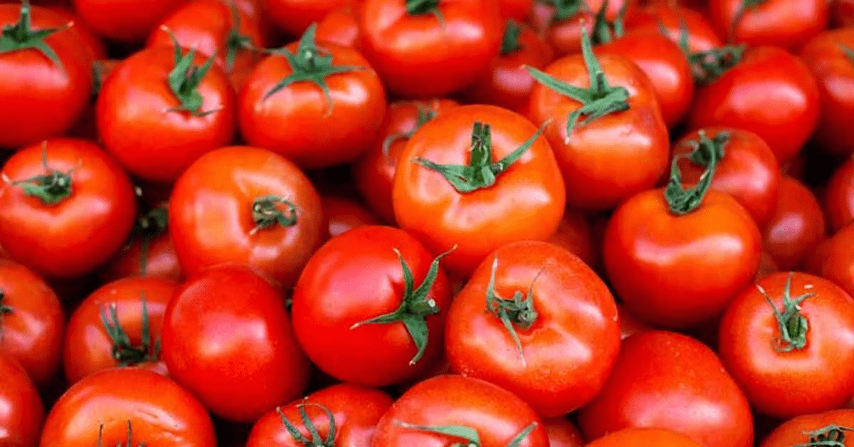 Tomatoes: Health Benefits, Facts and Nutrition