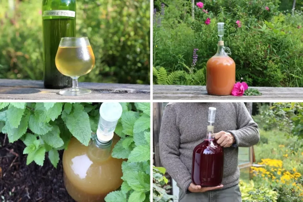 Discover the Sweet World of Mead: Delicious Drink Recipes to Try