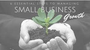 Ways of Managing Small Business Growth